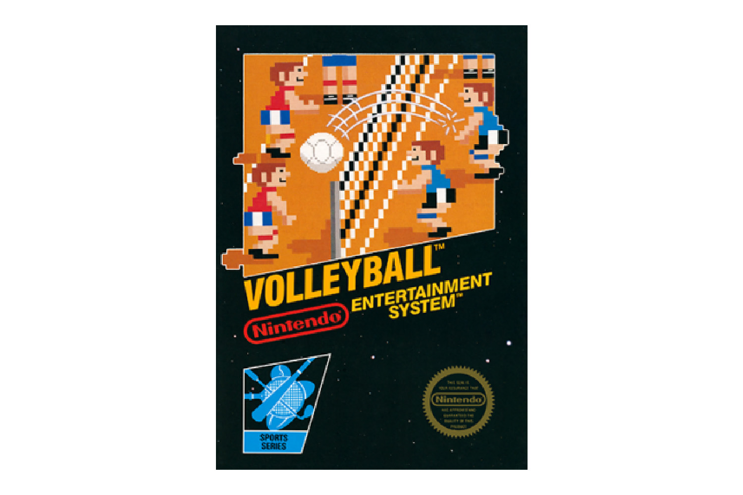 Volleyball